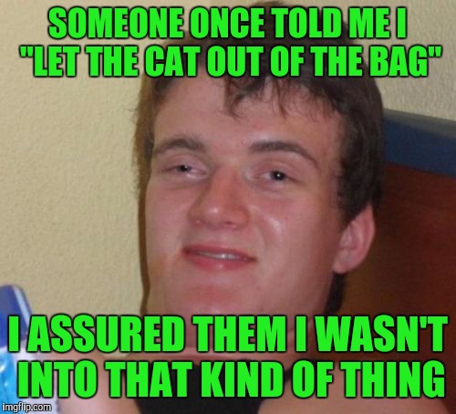 10 Guy | SOMEONE ONCE TOLD ME I "LET THE CAT OUT OF THE BAG"; I ASSURED THEM I WASN'T INTO THAT KIND OF THING | image tagged in memes,10 guy | made w/ Imgflip meme maker