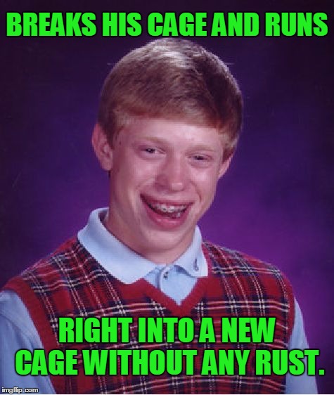 Bad Luck Brian Meme | BREAKS HIS CAGE AND RUNS RIGHT INTO A NEW CAGE WITHOUT ANY RUST. | image tagged in memes,bad luck brian | made w/ Imgflip meme maker