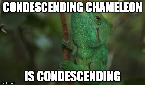Condescending chameleon | CONDESCENDING CHAMELEON; IS CONDESCENDING | image tagged in condescending,chameleon | made w/ Imgflip meme maker
