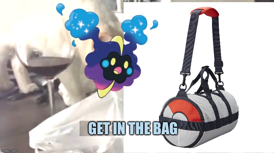 Welp | GET IN THE BAG | image tagged in pokemon,get in the bag nebby,cats,memes | made w/ Imgflip meme maker