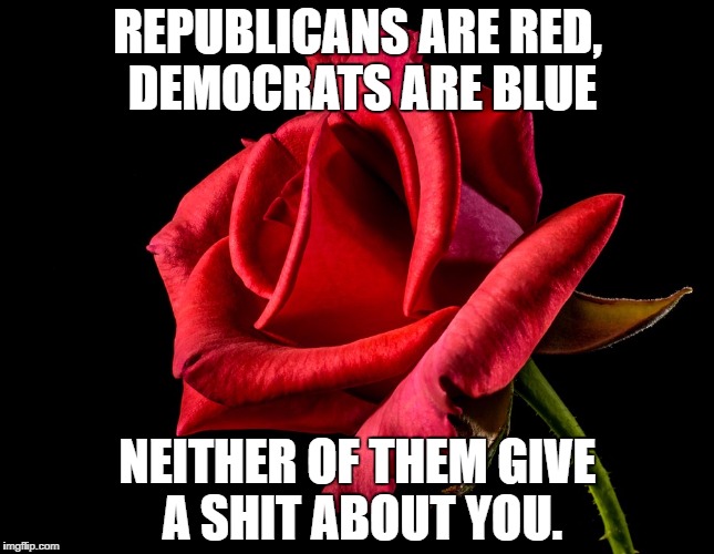 REPUBLICANS ARE RED, DEMOCRATS ARE BLUE; NEITHER OF THEM GIVE A SHIT ABOUT YOU. | image tagged in politics | made w/ Imgflip meme maker