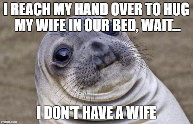 Awkward Moment Sealion | I REACH MY HAND OVER TO HUG MY WIFE IN OUR BED, WAIT... I DON'T HAVE A WIFE | image tagged in memes,awkward moment sealion | made w/ Imgflip meme maker