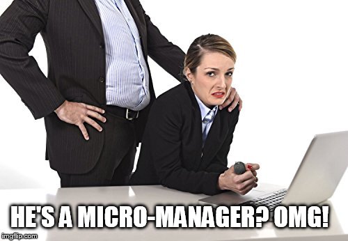 the micro-manager you don't want | HE'S A MICRO-MANAGER? OMG! | image tagged in work,the office,office monkeys,office,funny memes,memes | made w/ Imgflip meme maker