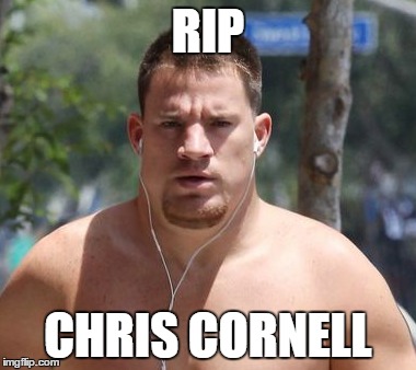 RIP; CHRIS CORNELL | image tagged in chris cornell | made w/ Imgflip meme maker