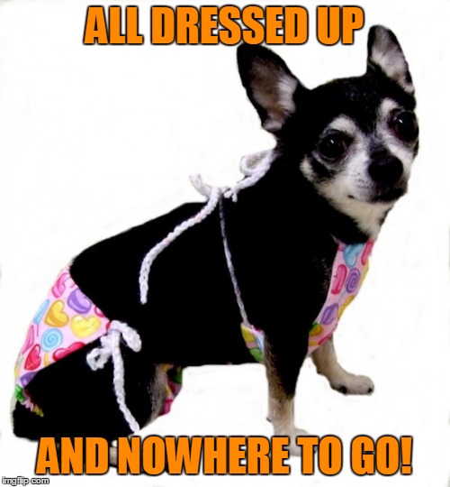 ALL DRESSED UP AND NOWHERE TO GO! | made w/ Imgflip meme maker