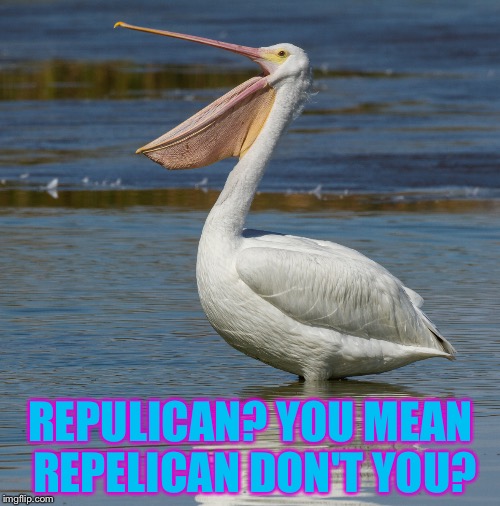 REPULICAN? YOU MEAN REPELICAN DON'T YOU? | made w/ Imgflip meme maker