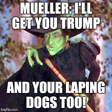 Wicked Witch | MUELLER: I'LL GET YOU TRUMP; AND YOUR LAPING DOGS TOO! | image tagged in wicked witch | made w/ Imgflip meme maker