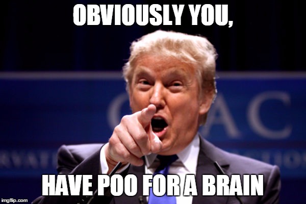 Your President BWHA-HA-HA! | OBVIOUSLY YOU, HAVE POO FOR A BRAIN | image tagged in your president bwha-ha-ha | made w/ Imgflip meme maker