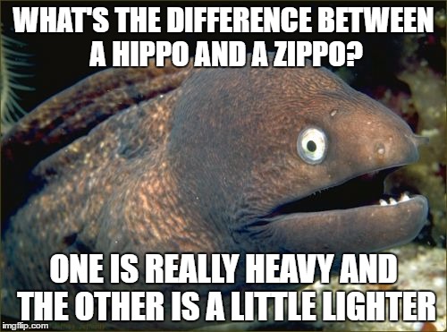 Bad Joke Eel Meme | WHAT'S THE DIFFERENCE BETWEEN A HIPPO AND A ZIPPO? ONE IS REALLY HEAVY AND THE OTHER IS A LITTLE LIGHTER | image tagged in memes,bad joke eel | made w/ Imgflip meme maker