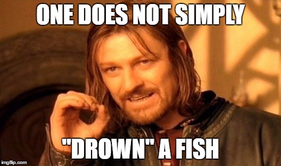 One Does Not Simply Meme | ONE DOES NOT SIMPLY "DROWN" A FISH | image tagged in memes,one does not simply | made w/ Imgflip meme maker