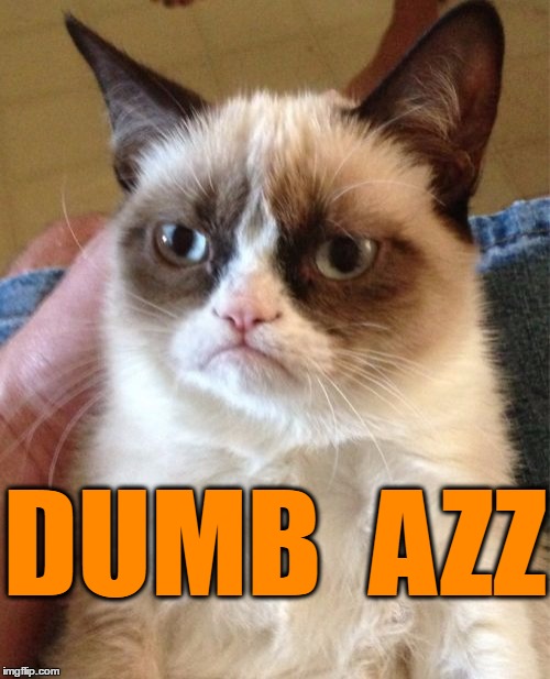 Grumpy Cat Meme | DUMB  AZZ | image tagged in memes,grumpy cat | made w/ Imgflip meme maker