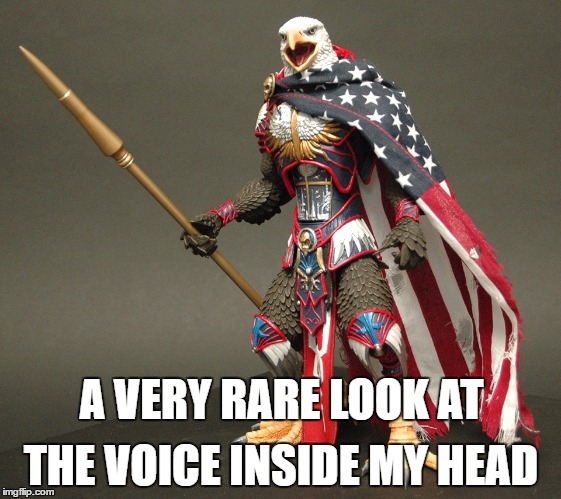 Voice in my head | A VERY RARE LOOK AT; THE VOICE INSIDE MY HEAD | image tagged in america,eagle | made w/ Imgflip meme maker