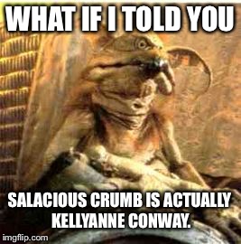 Kellyanne Conway Salacious Crumb | WHAT IF I TOLD YOU; SALACIOUS CRUMB IS ACTUALLY KELLYANNE CONWAY. | image tagged in kellyanne conway salacious crumb,alternative facts | made w/ Imgflip meme maker