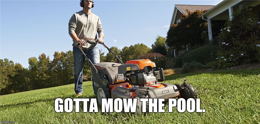 GOTTA MOW THE POOL. | made w/ Imgflip meme maker