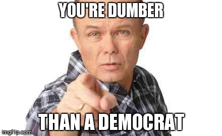 Dumbass | YOU'RE DUMBER; THAN A DEMOCRAT | image tagged in dumbass | made w/ Imgflip meme maker