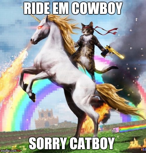 DANK MEMES | RIDE EM COWBOY; SORRY CATBOY | image tagged in memes,welcome to the internets | made w/ Imgflip meme maker