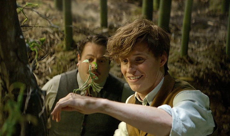 High Quality Newt Scamander approved Blank Meme Template