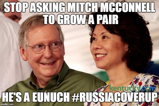 mitch mcconnell and his wife | STOP ASKING MITCH MCCONNELL TO GROW A PAIR; HE'S A EUNUCH #RUSSIACOVERUP | image tagged in mitch mcconnell and his wife | made w/ Imgflip meme maker