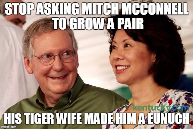 mitch mcconnell and his wife | STOP ASKING MITCH MCCONNELL TO GROW A PAIR; HIS TIGER WIFE MADE HIM A EUNUCH | image tagged in mitch mcconnell and his wife | made w/ Imgflip meme maker