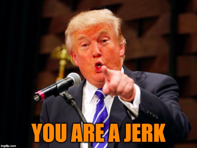 trump point | YOU ARE A JERK | image tagged in trump point | made w/ Imgflip meme maker