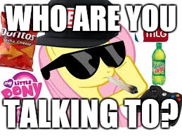 MLG Pony | WHO ARE YOU TALKING TO? | image tagged in mlg pony | made w/ Imgflip meme maker