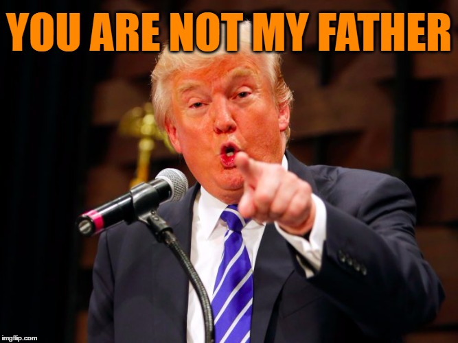 trump point | YOU ARE NOT MY FATHER | image tagged in trump point | made w/ Imgflip meme maker