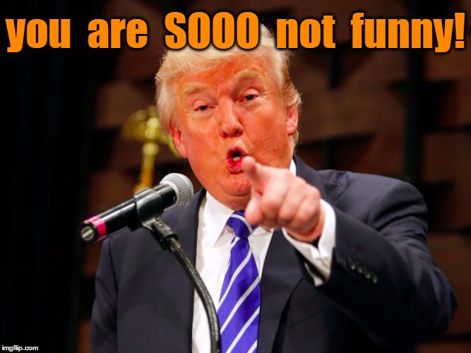 trump point | you  are  SOOO  not  funny! | image tagged in trump point | made w/ Imgflip meme maker