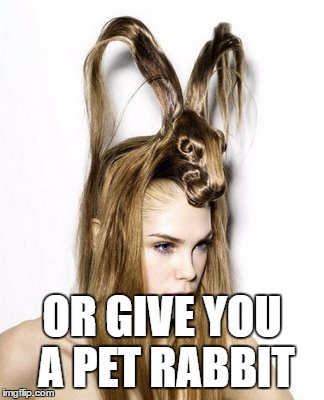 OR GIVE YOU A PET RABBIT | made w/ Imgflip meme maker