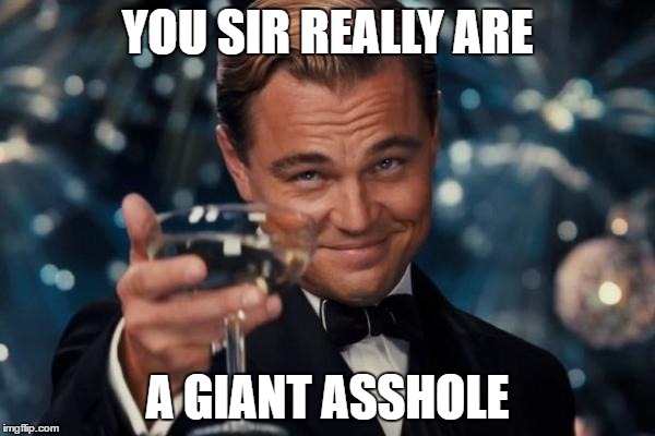 Leonardo Dicaprio Cheers | YOU SIR REALLY ARE; A GIANT ASSHOLE | image tagged in memes,leonardo dicaprio cheers | made w/ Imgflip meme maker