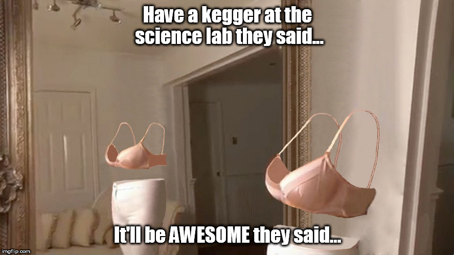 Morning after Science Lab kegger | Have a kegger at the science lab they said... It'll be AWESOME they said... | image tagged in invisible woman 7,party | made w/ Imgflip meme maker
