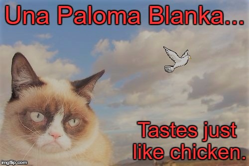 Once Grumpy Cat sings a song, it's eternally hers!  | Una Paloma Blanka... Tastes just; like chicken. | image tagged in grumpy cat,grumpy cat sky,george baker,slim whitman | made w/ Imgflip meme maker