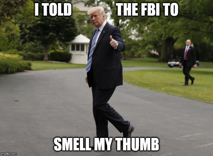 thumb up may 17 | I TOLD                THE FBI TO; SMELL MY THUMB | image tagged in thumb up may 17 | made w/ Imgflip meme maker