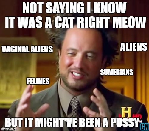 Ancient Aliens Meme | NOT SAYING I KNOW IT WAS A CAT RIGHT MEOW BUT IT MIGHT'VE BEEN A PUSSY ALIENS VA**NAL ALIENS FELINES SUMERIANS CN | image tagged in memes,ancient aliens | made w/ Imgflip meme maker