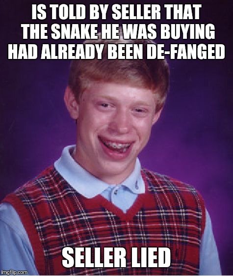 Bad Luck Brian Meme | IS TOLD BY SELLER THAT THE SNAKE HE WAS BUYING HAD ALREADY BEEN DE-FANGED; SELLER LIED | image tagged in memes,bad luck brian | made w/ Imgflip meme maker