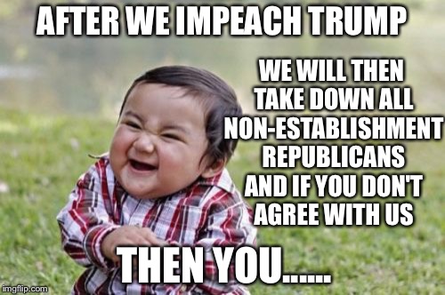 Evil Toddler | AFTER WE IMPEACH TRUMP; WE WILL THEN TAKE DOWN ALL NON-ESTABLISHMENT REPUBLICANS AND IF YOU DON'T AGREE WITH US; THEN YOU...... | image tagged in memes,evil toddler | made w/ Imgflip meme maker