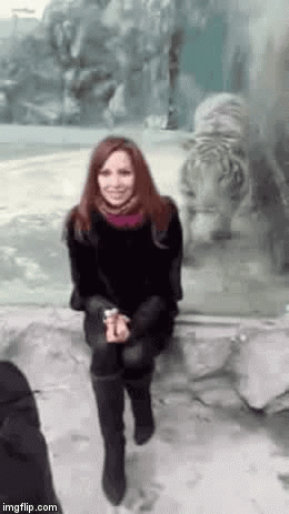 oops i crapped my pants snl gif