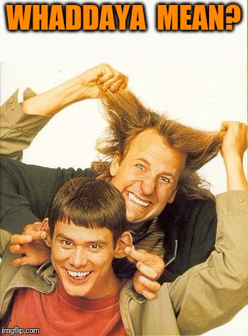 DUMB and dumber | WHADDAYA  MEAN? | image tagged in dumb and dumber | made w/ Imgflip meme maker