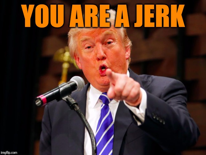 trump point | YOU ARE A JERK | image tagged in trump point | made w/ Imgflip meme maker