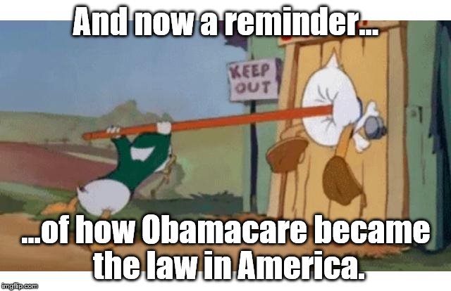 Obamacare | And now a reminder... ...of how Obamacare became the law in America. | image tagged in political meme | made w/ Imgflip meme maker