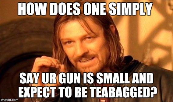 One Does Not Simply Meme | HOW DOES ONE SIMPLY SAY UR GUN IS SMALL AND EXPECT TO BE TEABAGGED? | image tagged in memes,one does not simply | made w/ Imgflip meme maker