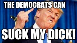 THE DEMOCRATS CAN SUCK MY DICK! | image tagged in trump middle finger | made w/ Imgflip meme maker