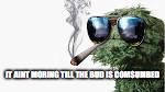 Oscar the Crouch marijuana | IT AINT MORING TILL THE BUD IS COMSUMBED | image tagged in oscar the crouch marijuana | made w/ Imgflip meme maker