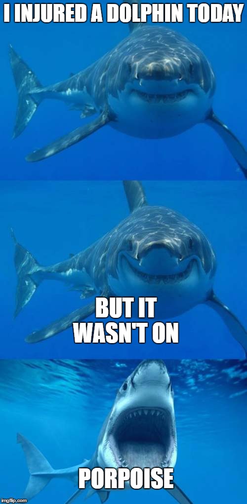 Bad Shark Pun  | I INJURED A DOLPHIN TODAY; BUT IT WASN'T ON; PORPOISE | image tagged in bad shark pun | made w/ Imgflip meme maker
