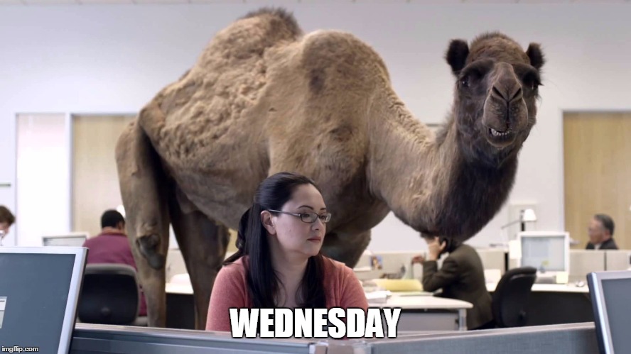 WEDNESDAY | made w/ Imgflip meme maker