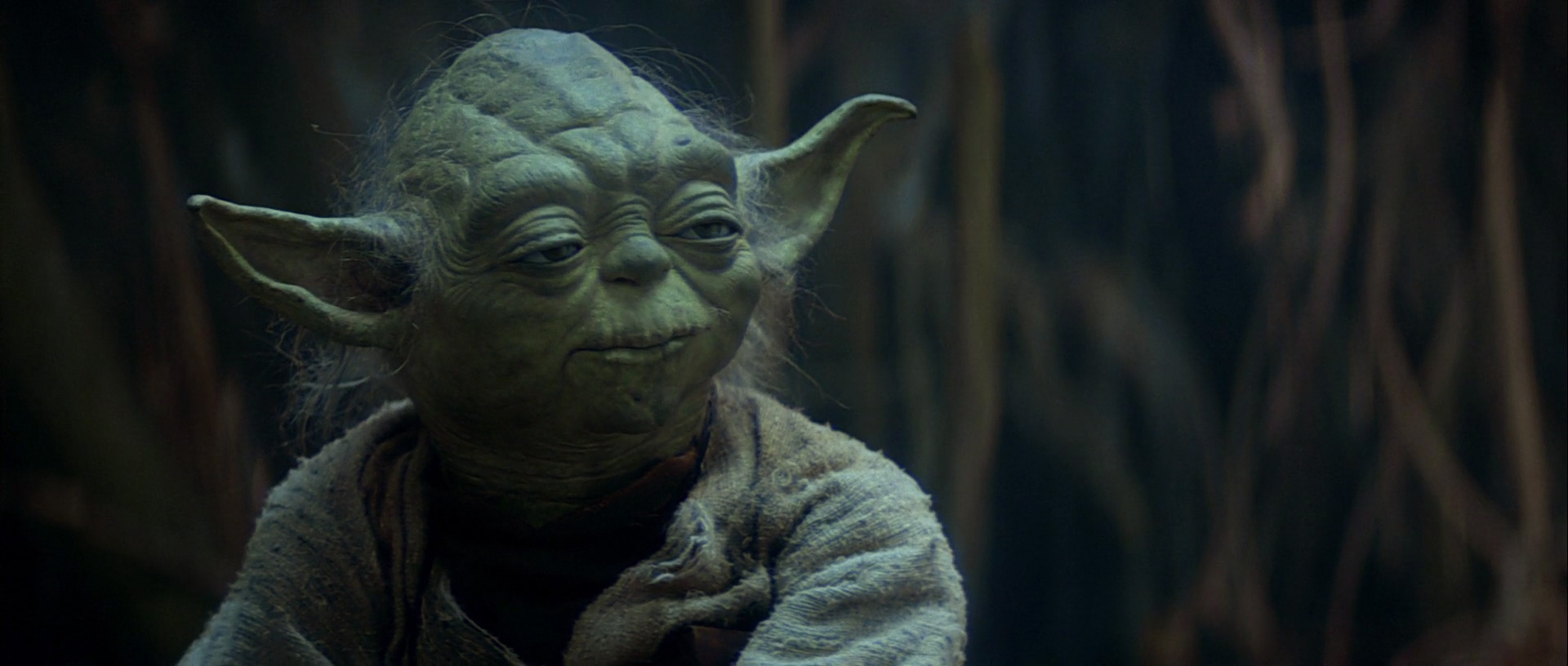 Yoda Alzheimer Blank Meme Template