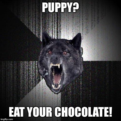 Insanity Wolf | PUPPY? EAT YOUR CHOCOLATE! | image tagged in memes,insanity wolf | made w/ Imgflip meme maker