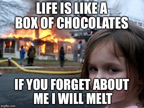 Disaster Girl Meme | LIFE IS LIKE A BOX OF CHOCOLATES; IF YOU FORGET ABOUT ME I WILL MELT | image tagged in memes,disaster girl | made w/ Imgflip meme maker