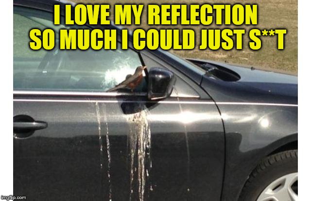 I LOVE MY REFLECTION SO MUCH I COULD JUST S**T | made w/ Imgflip meme maker