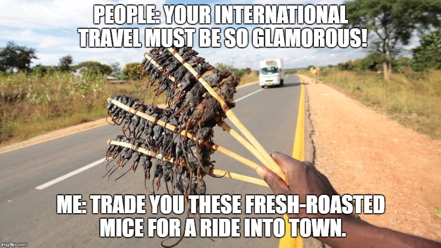 Joys of travel | PEOPLE: YOUR INTERNATIONAL TRAVEL MUST BE SO GLAMOROUS! ME: TRADE YOU THESE FRESH-ROASTED MICE FOR A RIDE INTO TOWN. | image tagged in travel | made w/ Imgflip meme maker