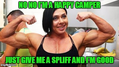 NO NO I'M A HAPPY CAMPER JUST GIVE ME A SPLIFF AND I'M GOOD | made w/ Imgflip meme maker